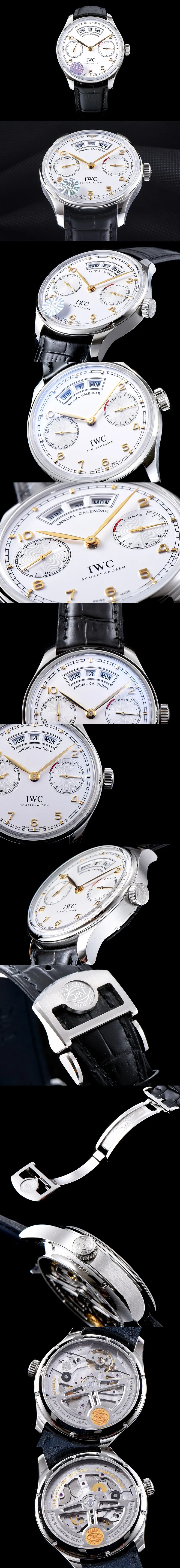 IWC Annual Calendar애뉴얼 캘린더 .jpg