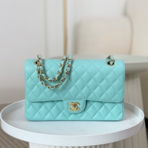 Chanel 샤넬 클래식 미디엄 플랩백 25cm (2색)