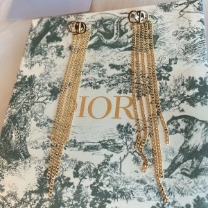 DIOR 디올 2020 귀걸이 