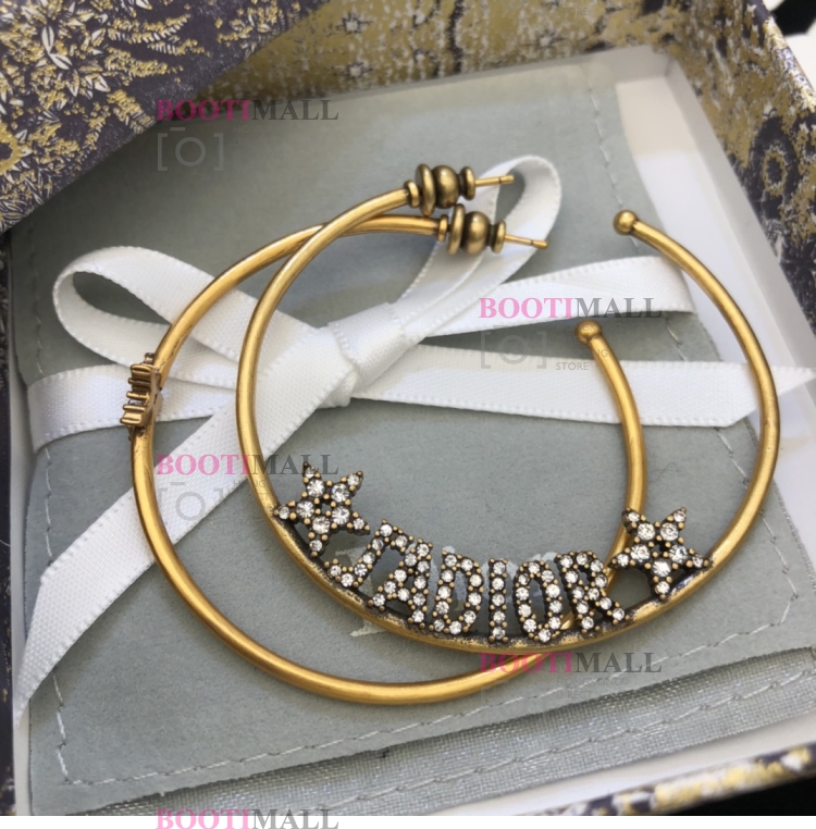 DIOR 2021 디올 귀걸이