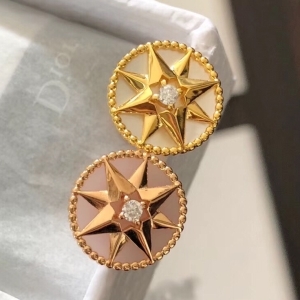 DIOR 디올 2021 귀걸이 (2색)