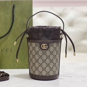 Gucci 구찌 2023 오피디아 미니 버킷백 20cm (12월)